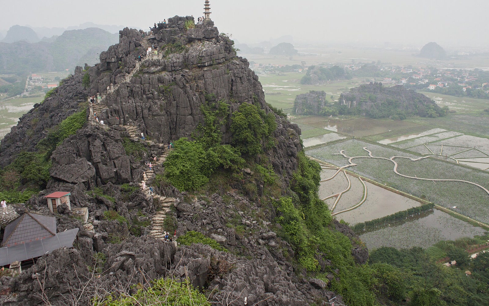 Tam Coc Golden Rice Paddies in Ninh Binh