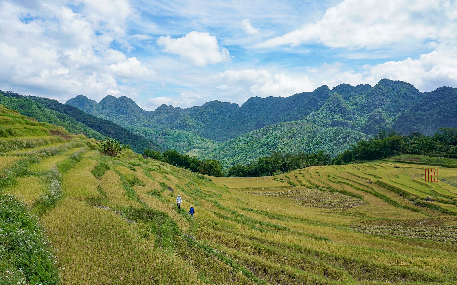 Pu Luong — Serene Terraced Sanctuary